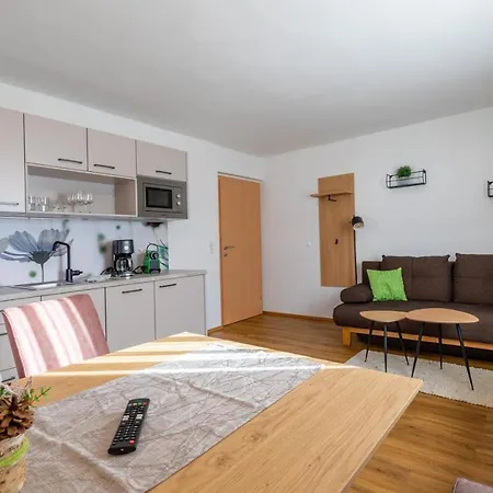 Apartament Haus Pitzer/apartments Troicher Schladming