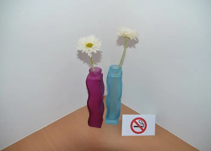 Apartment Haus Pitzer/apartments Troicher Schladming