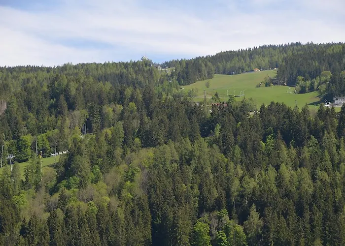 Haus Pitzer/apartments Troicher Apartment Schladming